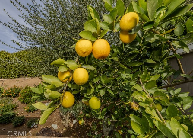 Detail Gallery Image 43 of 52 For 9588 Highland Ave, Rancho Cucamonga,  CA 91737 - 4 Beds | 2 Baths