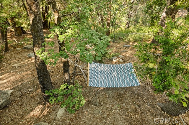 33003 Juniper Lane, Green Valley Lake CA: https://media.crmls.org/medias/0b74c1b3-c908-412c-bf44-c9f555c741e7.jpg