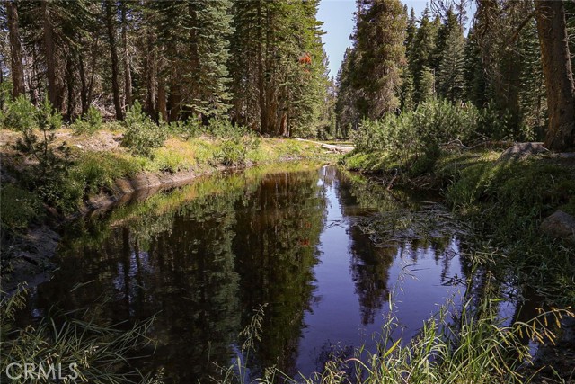 67922 Beasore Road, Bass Lake CA: https://media.crmls.org/medias/0b77dd3f-6b53-45d4-b14e-428ff44eb95b.jpg