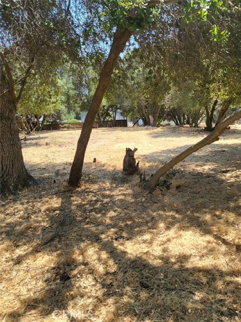 3150 Country Club Drive, Clearlake CA: https://media.crmls.org/medias/0b78eba9-6a0c-4754-935a-60a918dc7f70.jpg