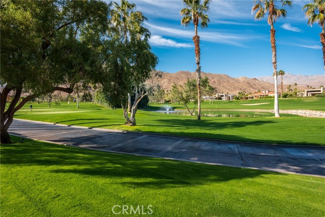 Image 41 for 73663   Boxthorn LN