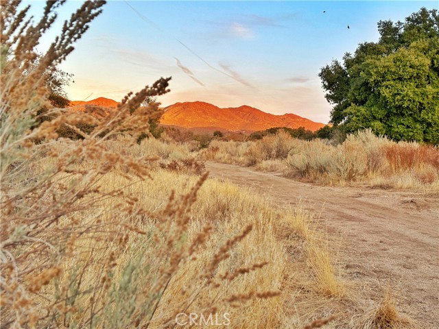 Detail Gallery Image 43 of 75 For 30415 Chihuahua Valley Rd, Warner Springs,  CA 92086 - 1 Beds | 1 Baths