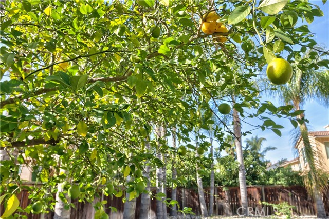 Detail Gallery Image 54 of 62 For 29419 Shady, Murrieta,  CA 92563 - 5 Beds | 3 Baths