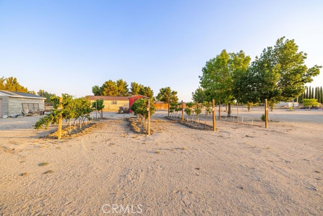 Detail Gallery Image 31 of 38 For 7582 Elder Ave, Rosamond,  CA 93560 - 3 Beds | 2 Baths