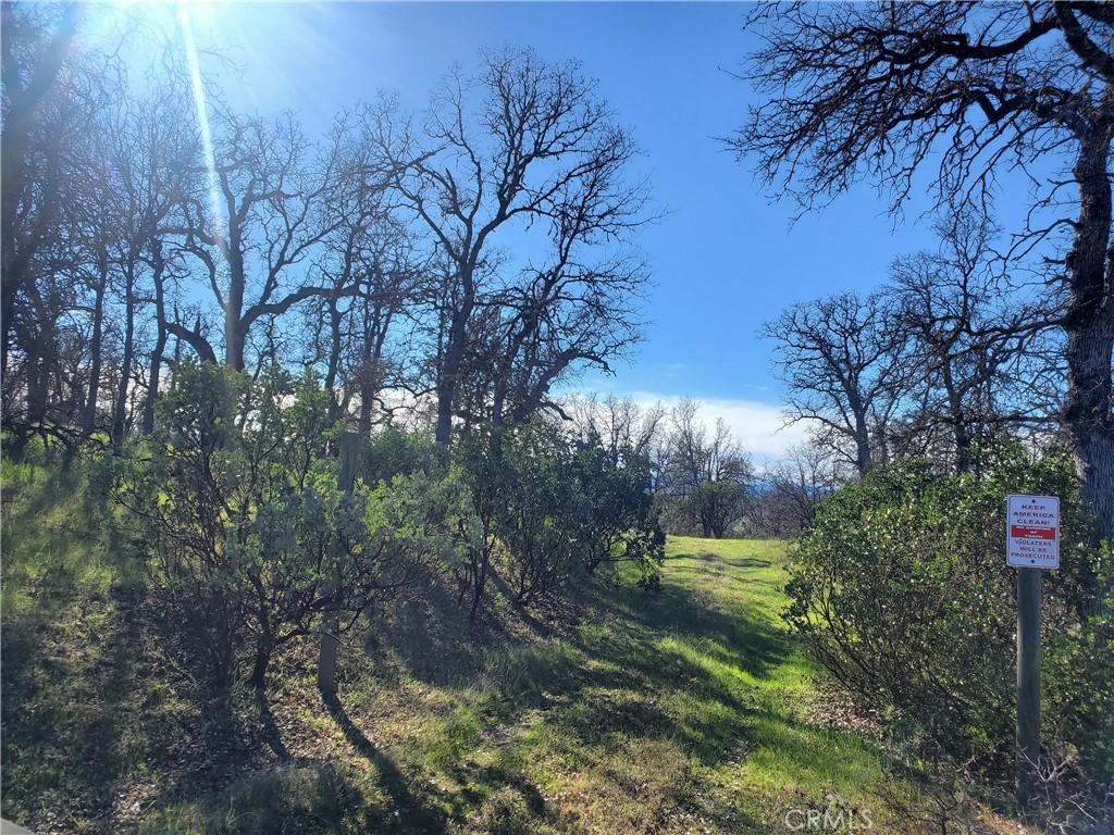 0 Big pines Rd, Shasta, CA 96022