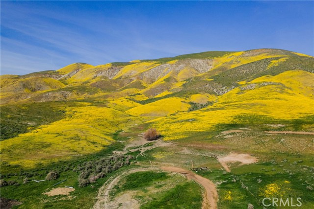 Detail Gallery Image 12 of 14 For 0 Bellflower Rd, Santa Margarita,  CA 93453 - – Beds | – Baths