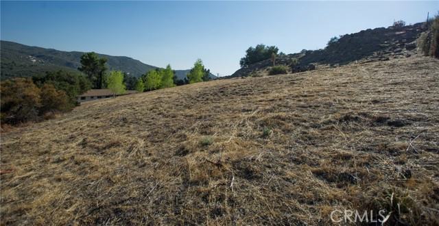 Detail Gallery Image 54 of 75 For 12145 Twin Springs Rd, Descanso,  CA 91916 - 4 Beds | 2 Baths