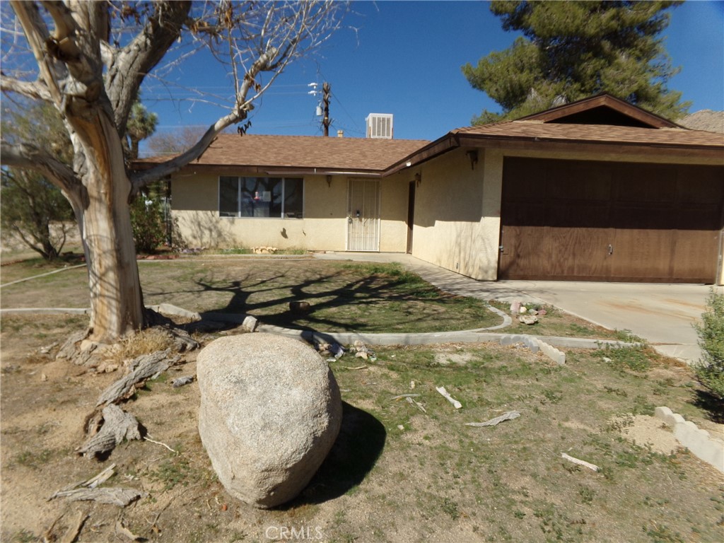 6966 Cholla