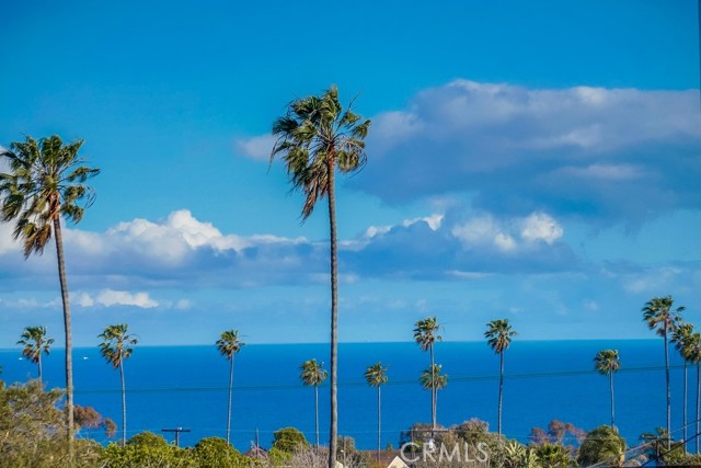 MLS #SB25161555 image #47