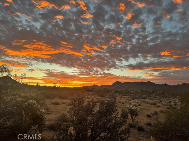 8775 Desert Shadow Road, Joshua Tree CA: https://media.crmls.org/medias/0b9ba436-476d-415c-8e8a-a0280f03c427.jpg