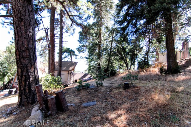 Detail Gallery Image 22 of 24 For 1109 Scenic Way, Rimforest,  CA 92378 - 2 Beds | 1 Baths