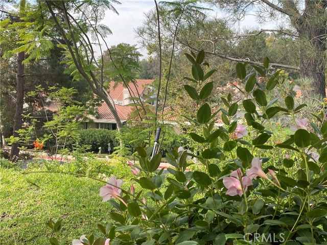 Detail Gallery Image 12 of 25 For 28135 Alava, Mission Viejo,  CA 92692 - 2 Beds | 2 Baths