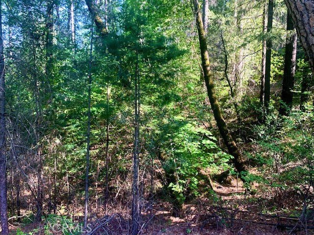 Image 6 of 7 For 17325 Fernbrook