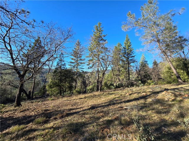 Detail Gallery Image 5 of 34 For 0 Double Eagle Way, Brownsville,  CA 95919 - – Beds | – Baths