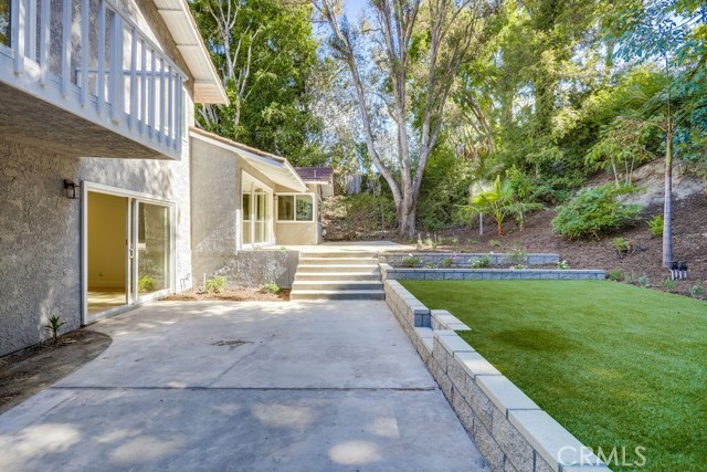 Lower Level Rear Yard