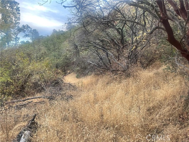 Detail Gallery Image 6 of 19 For 43020 Apache Ranch Rd, Ahwahnee,  CA 93601 - – Beds | – Baths