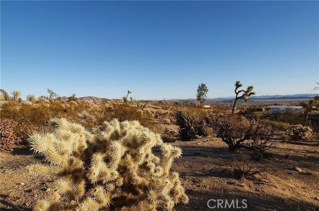 Detail Gallery Image 3 of 6 For 7275 Saddleback, Joshua Tree,  CA 92252 - – Beds | – Baths