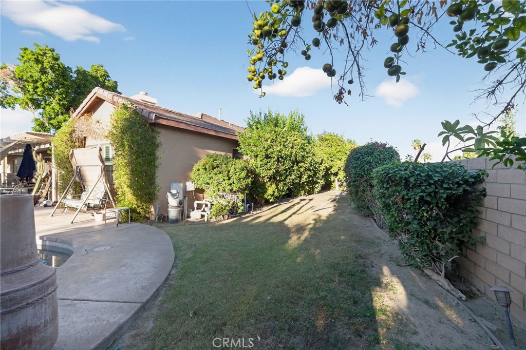 MLS #SW25249475 image #6