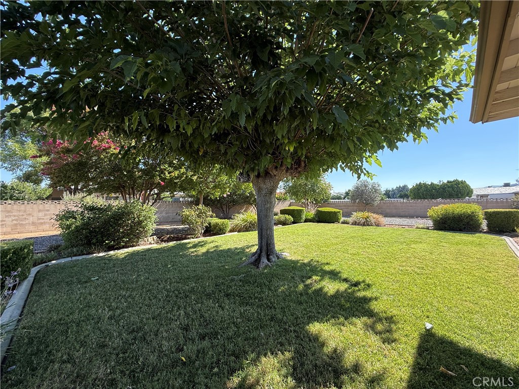 https://media.crmls.org/medias/0bbc64a7-8d26-4795-a9ca-cc21b6bbd1e4.jpg?preset=X-Large