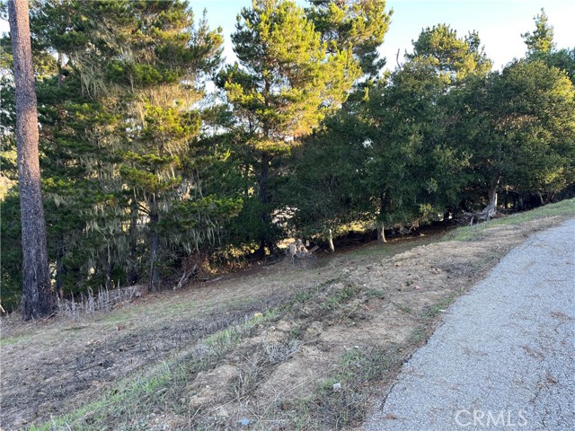 Detail Gallery Image 5 of 13 For 3235 Rogers, Cambria,  CA 93428 - – Beds | – Baths