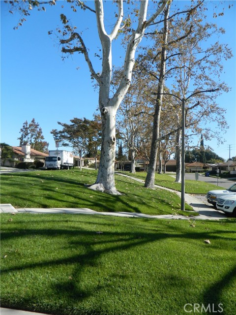 Detail Gallery Image 23 of 30 For 888 via Maria, Upland,  CA 91784 - 3 Beds | 3/1 Baths