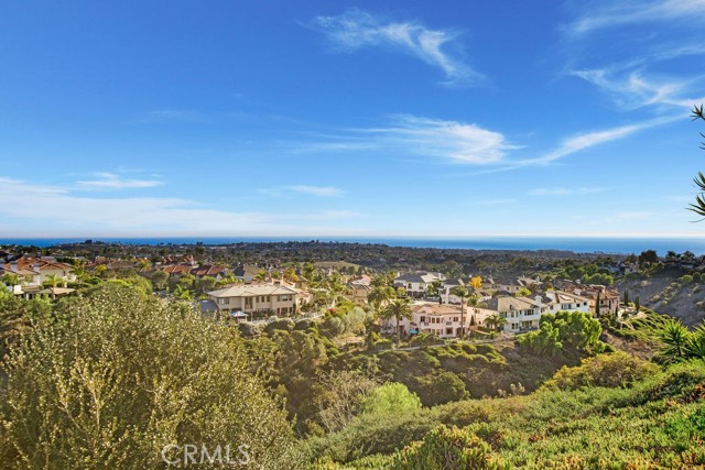 Detail Gallery Image 46 of 67 For 22 Callender Ct, Laguna Niguel,  CA 92677 - 4 Beds | 3 Baths