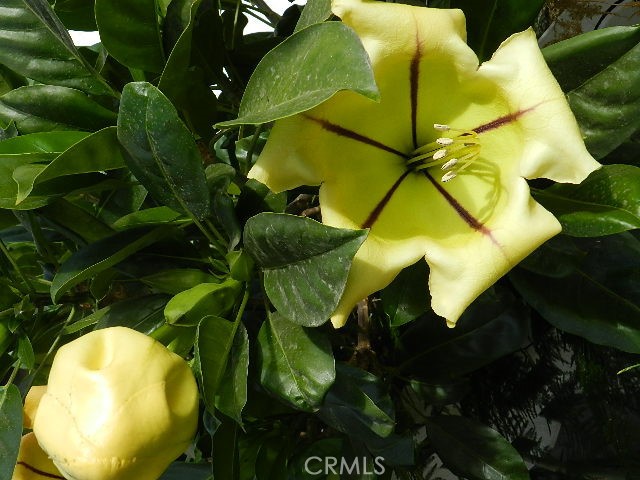 https://media.crmls.org/medias/0bccf3b4-94b8-4a6a-a5e5-a4f0c9beff7e.jpg?preset=X-Large