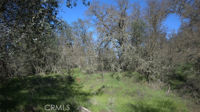 Front Image Thumbnail for CRSN26043514