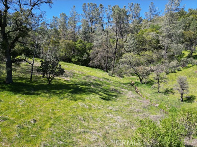 Detail Gallery Image 11 of 14 For 0 Hidden Mine Rd, Oroville,  CA 95965 - – Beds | – Baths