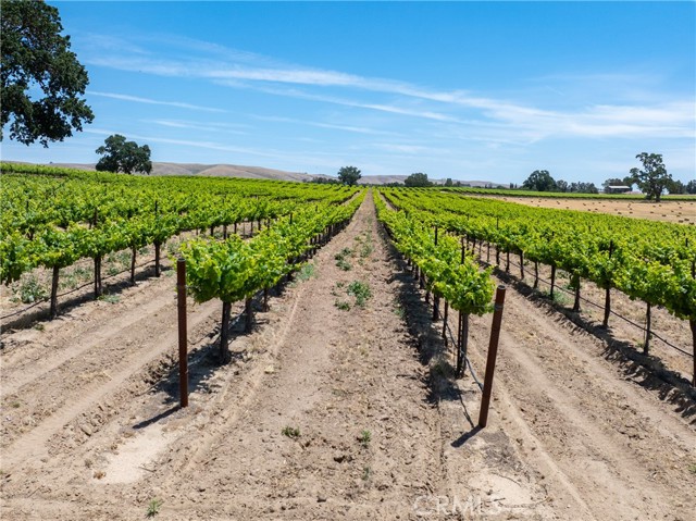 Detail Gallery Image 27 of 33 For 5275 Camp 8 Rd, Paso Robles,  CA 93446 - 12 Beds | 7/1 Baths
