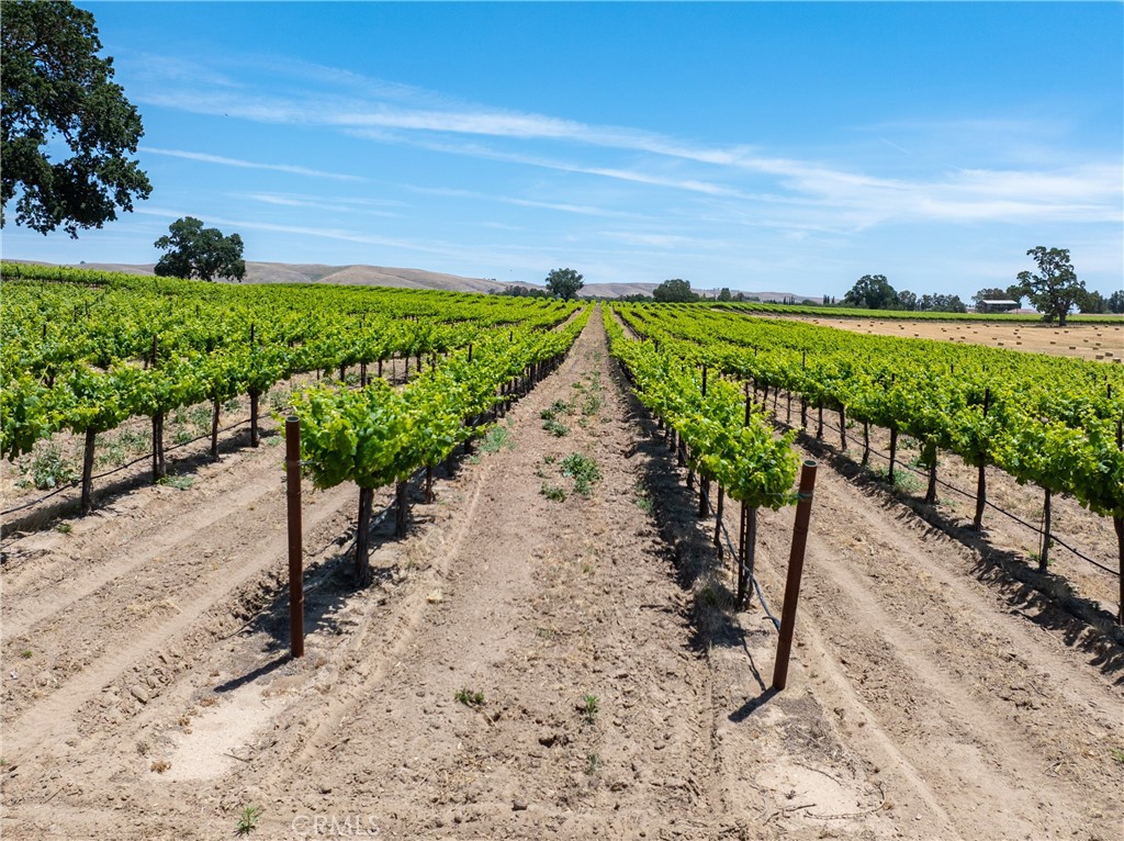 MLS #NS25115612 image #26