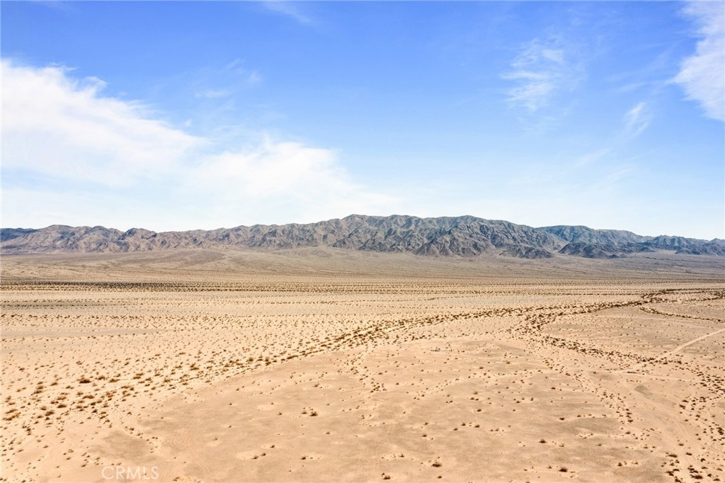 MLS #JT25112903 image #5