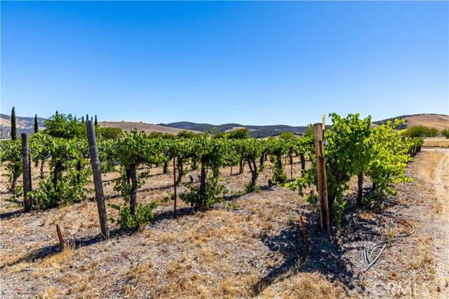 Detail Gallery Image 48 of 57 For 65380 San Lucas, Lockwood,  CA 93932 - 3 Beds | 2 Baths