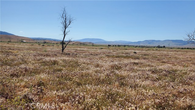 Detail Gallery Image 11 of 24 For 0 263rd St West North of Ave C13, –,  CA 93536 - – Beds | – Baths