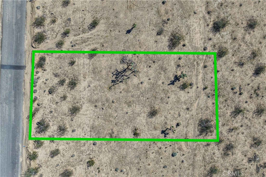 MLS #JT25246822 image #11