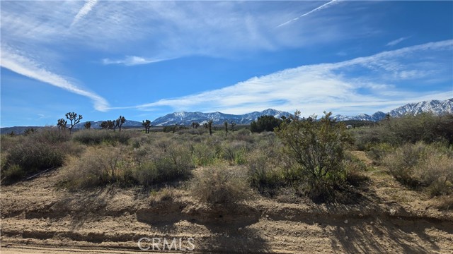 Detail Gallery Image 4 of 50 For 0 Fort Tejon Rd Vicinity 181st St E, Llano,  CA 93544 - – Beds | – Baths