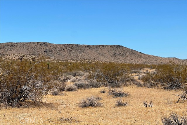 Detail Gallery Image 2 of 10 For 0 Willie Way, Joshua Tree,  CA 92252 - – Beds | – Baths