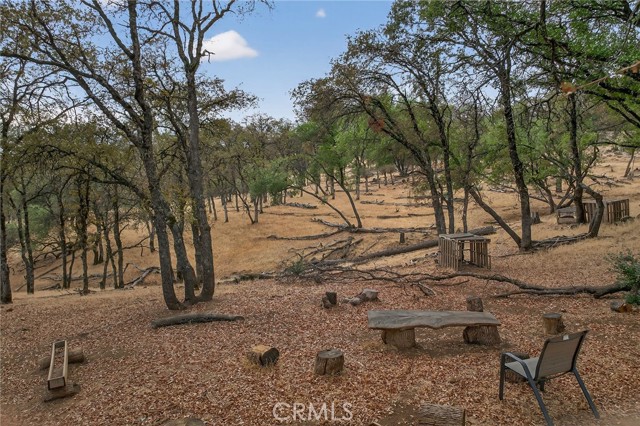 MLS #SN25226887 image #54