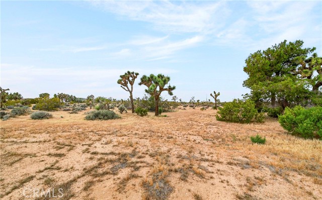 Detail Gallery Image 36 of 67 For 57661 Aberdeen, Yucca Valley,  CA 92284 - – Beds | – Baths