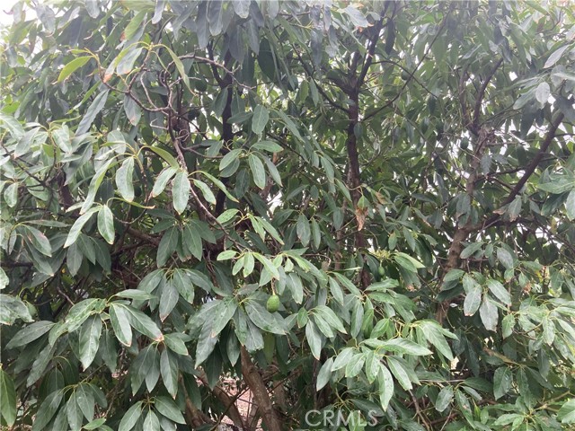 MLS# SW23214221