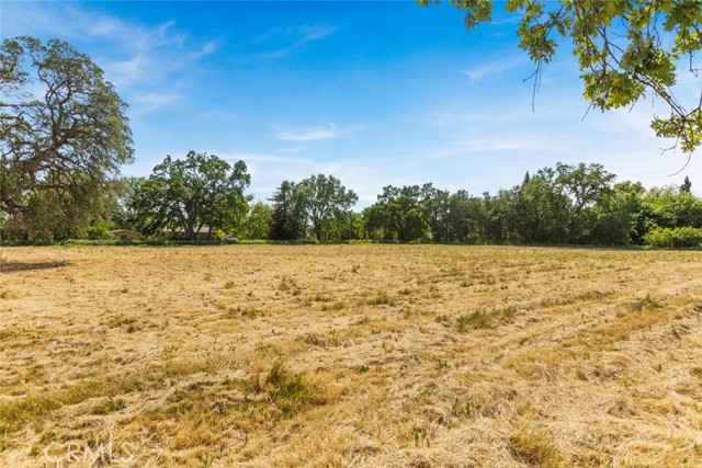 Image 10 of 18 For 0 Wilson Street