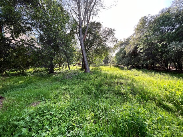 3356 Southlake, Kelseyville, CA, 95451 3356 Southlake, Kelseyville, CA, 95451