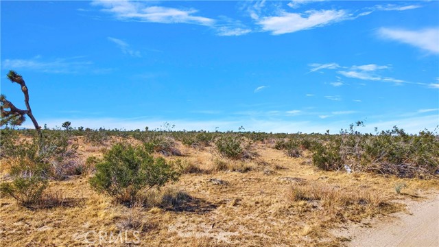 0 Bear Valley Road, Victorville CA: https://media.crmls.org/medias/0c0c28d1-96a1-4cd3-b4f4-cf760d77d444.jpg