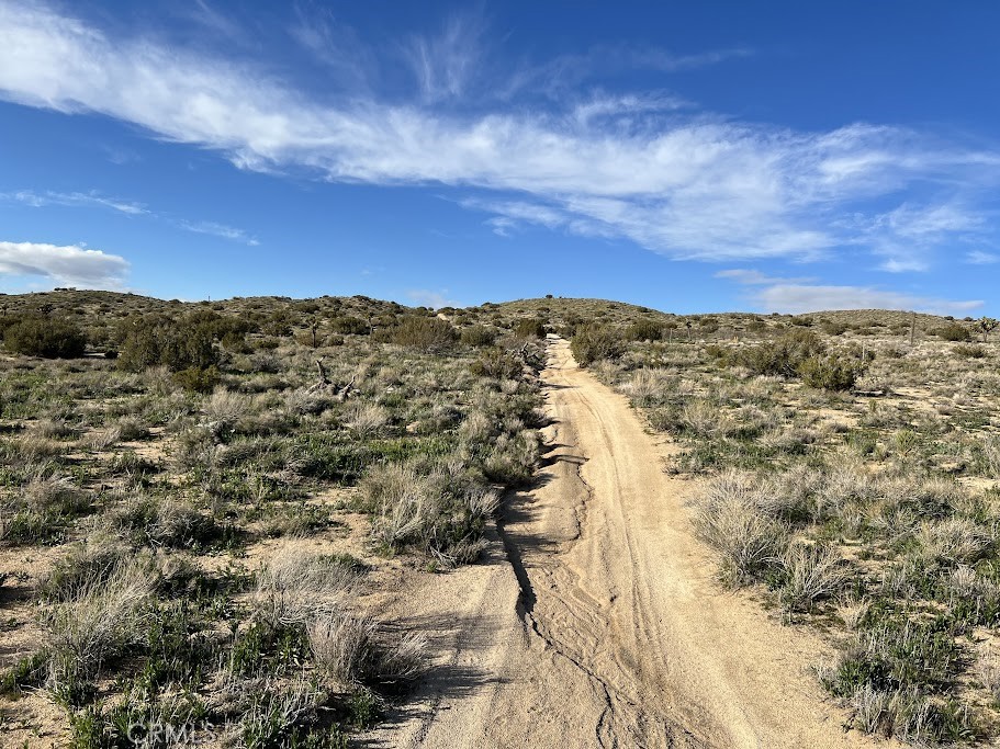 MLS #SR25254609 image #9