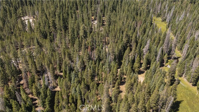 67922 Beasore Road, Bass Lake CA: https://media.crmls.org/medias/0c142fd8-62bb-4b34-ba53-7b4514f39e93.jpg