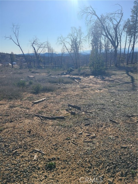 Detail Gallery Image 7 of 10 For 81 Green Cedar, Berry Creek,  CA 95916 - – Beds | – Baths