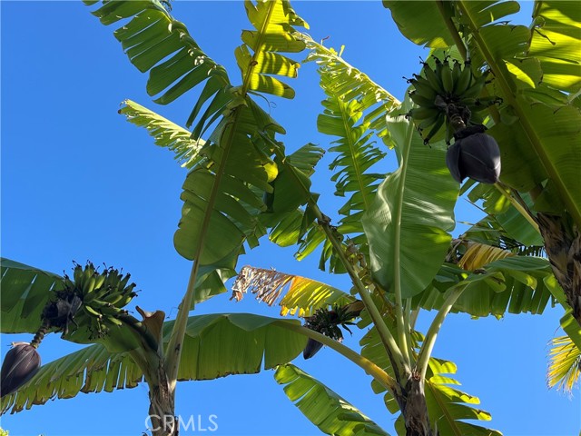 Detail Gallery Image 28 of 30 For 4862 Sevilla Way, Carlsbad,  CA 92008 - 4 Beds | 3 Baths