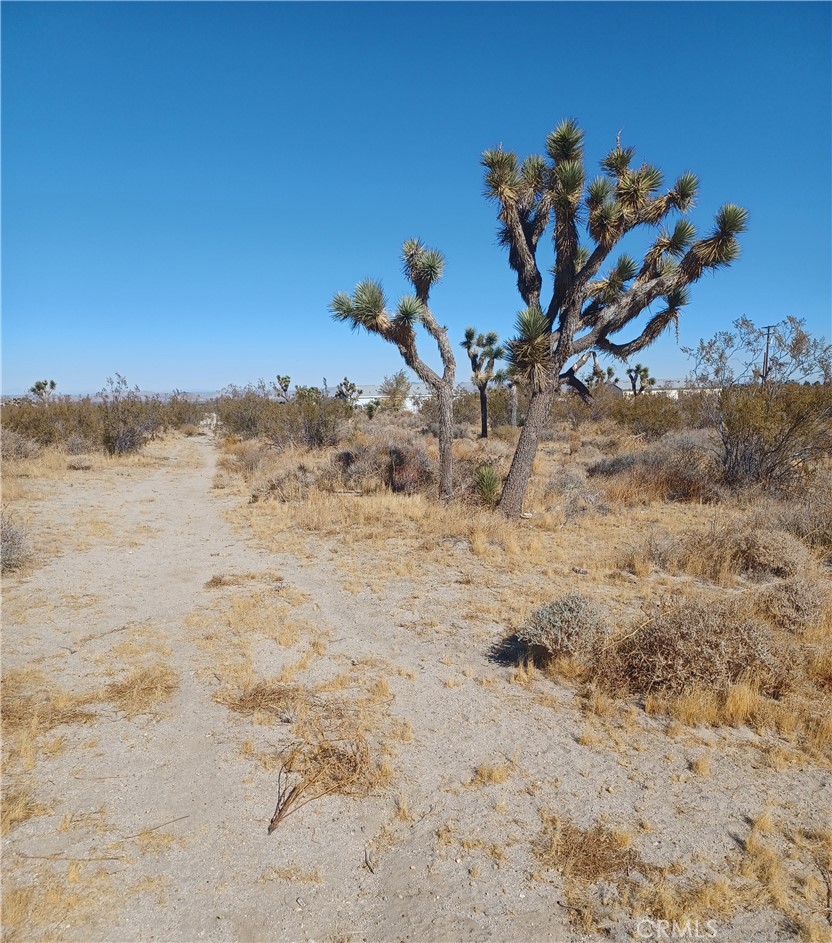 MLS #CV25117783 image #7