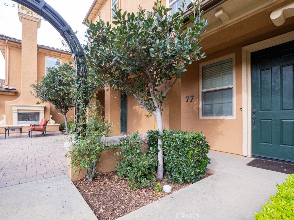 77 Long Meadow #87