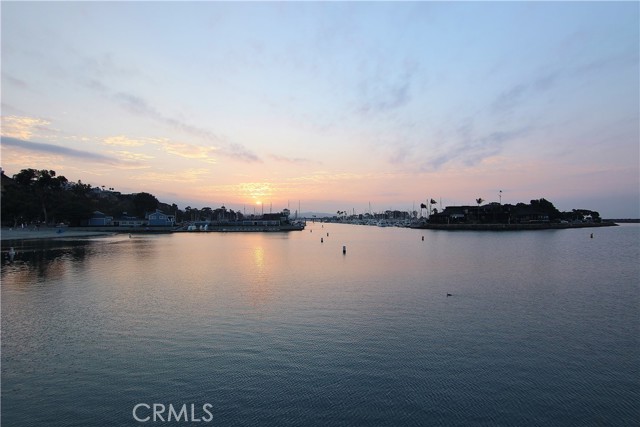 Detail Gallery Image 50 of 60 For 24902 Sea Crest, Dana Point,  CA 92629 - 3 Beds | 2/1 Baths